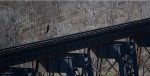 Eagle soars over the James River trestle.  Good entertainment waiting for the NS research and test train